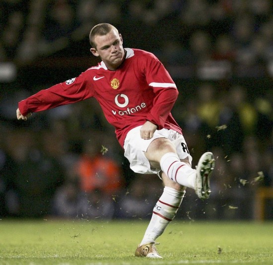 认将采用 认将采用